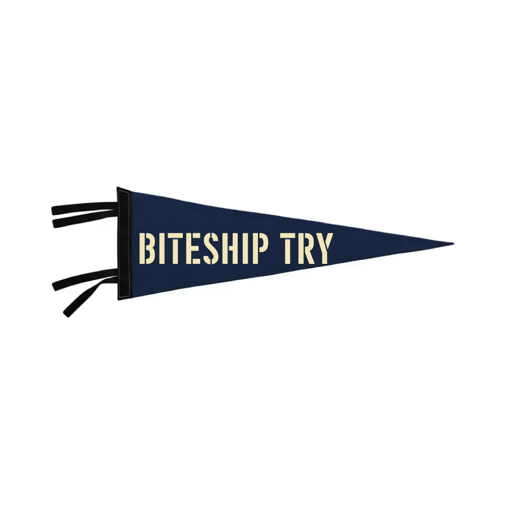 Custom Pennant Idea