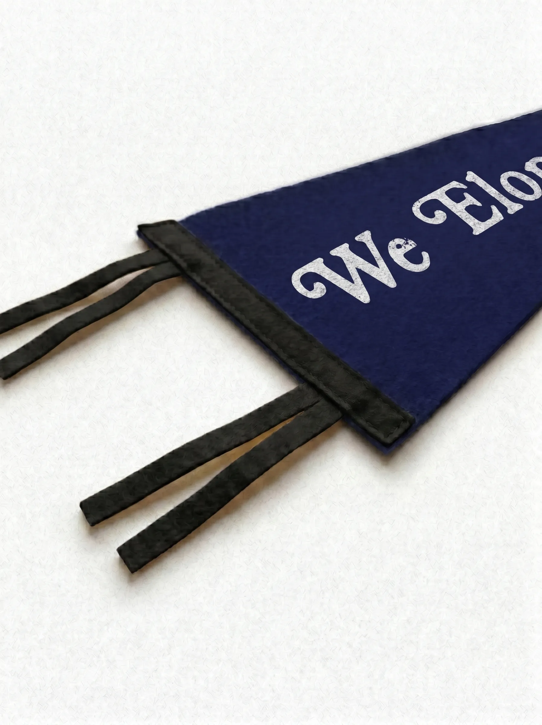 We Eloped Wedding Pennant