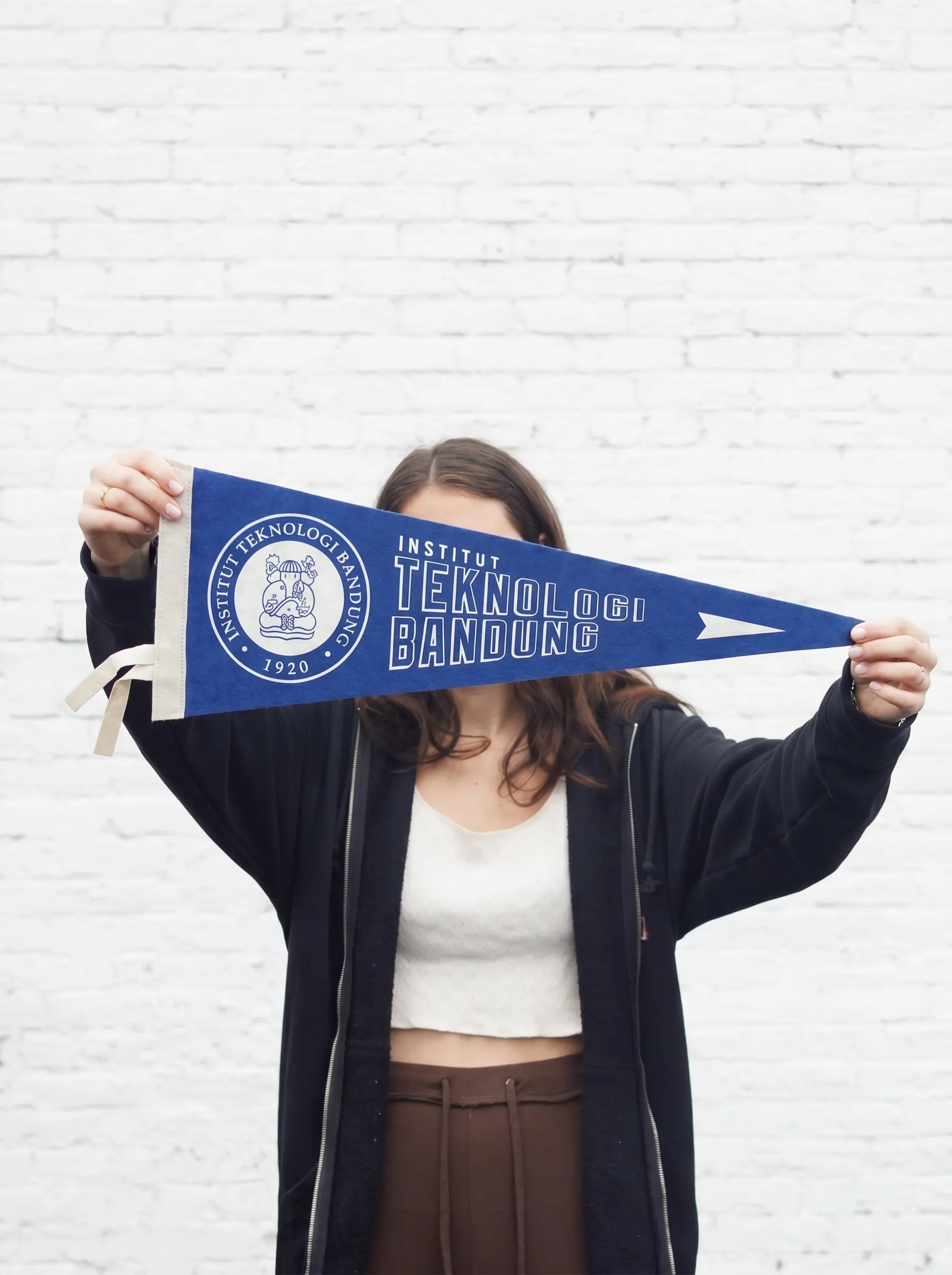Institut Teknologi Bandung Pennant