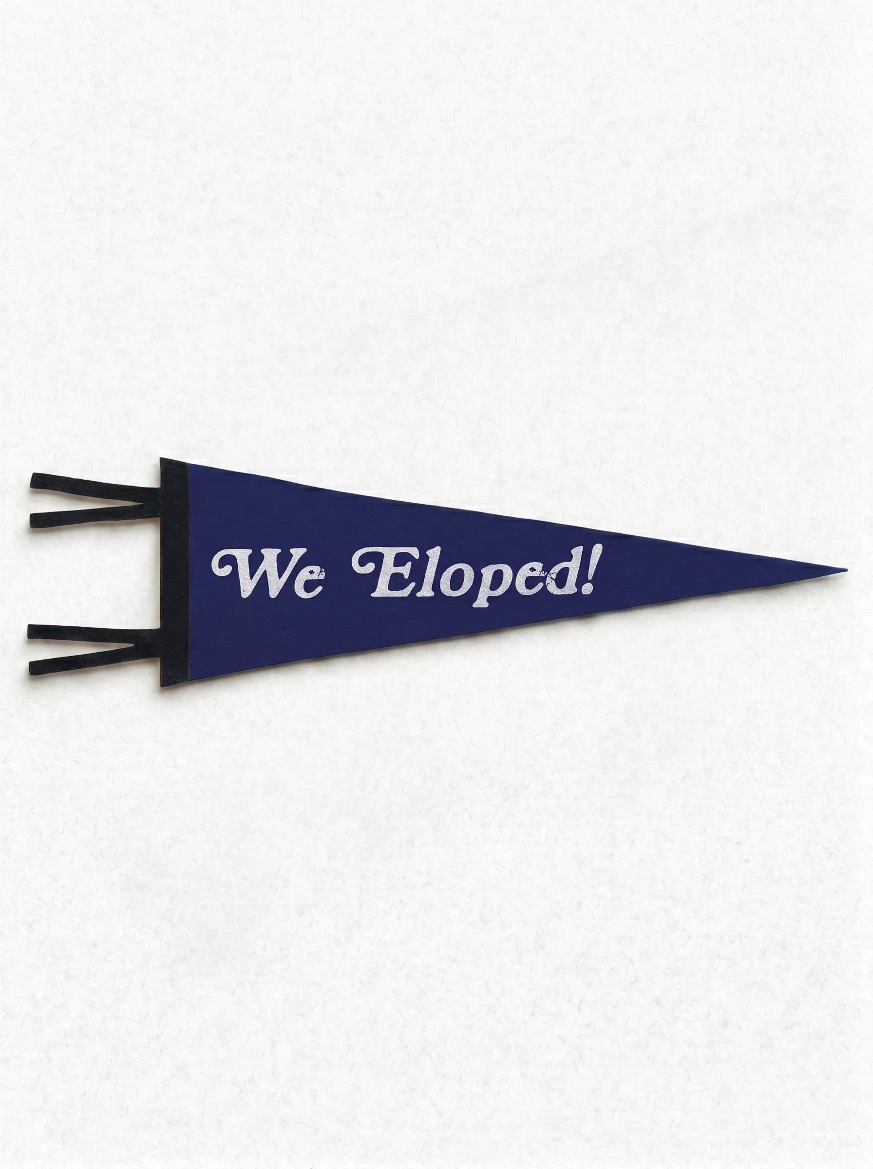 We Eloped Wedding Pennant
